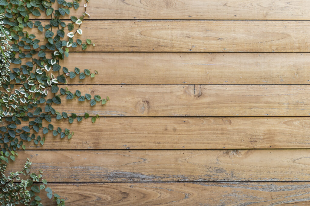 The Benefits of Growing Your Own Food at Home