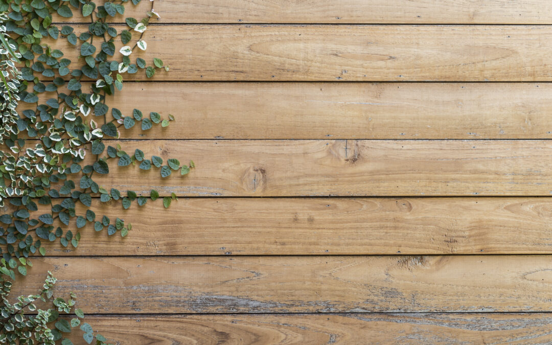 The Benefits of Growing Your Own Food at Home