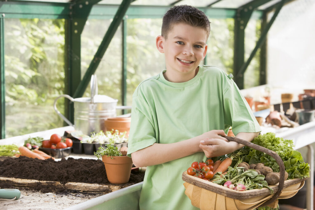 The Benefits of Homegrown Produce: Why You Should Consider Starting a Home Farm