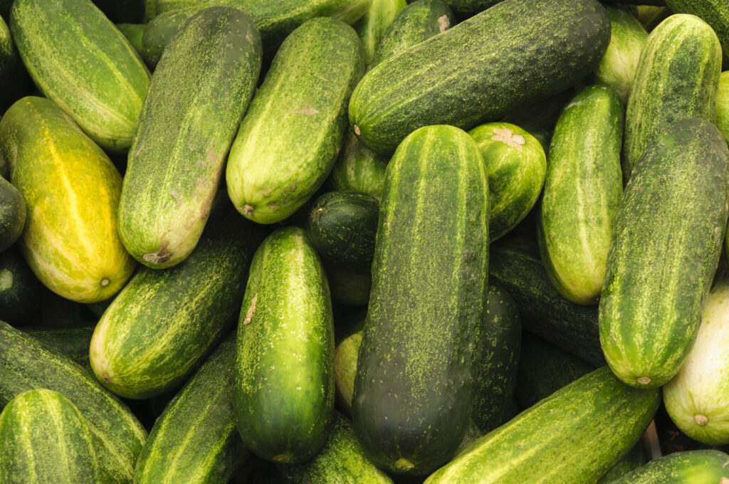 The Benefits of Going Organic: Why You Should Consider Organic Gardening