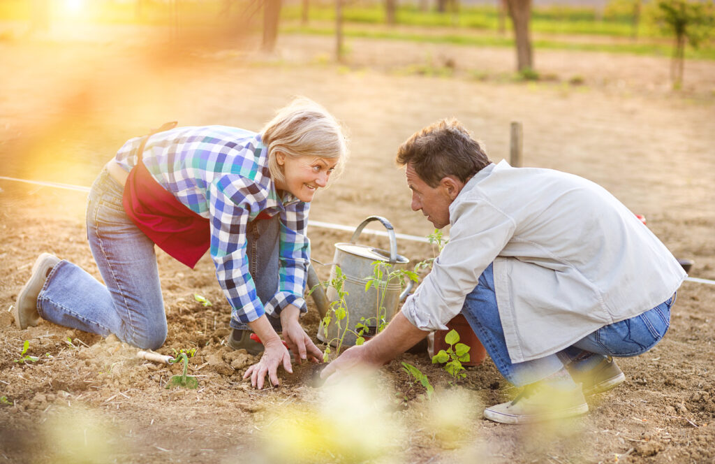 Raising Livestock at Home: Everything You Need to Know About Keeping Animals on Your Property