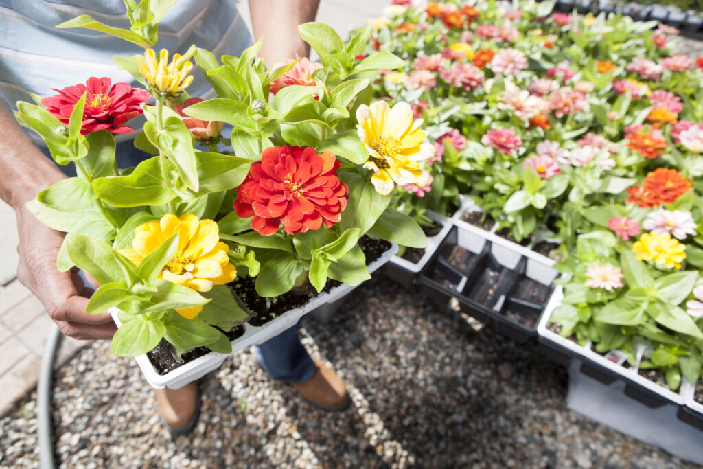10 Powerful self-reliant home practices to boost sustainability in 2025