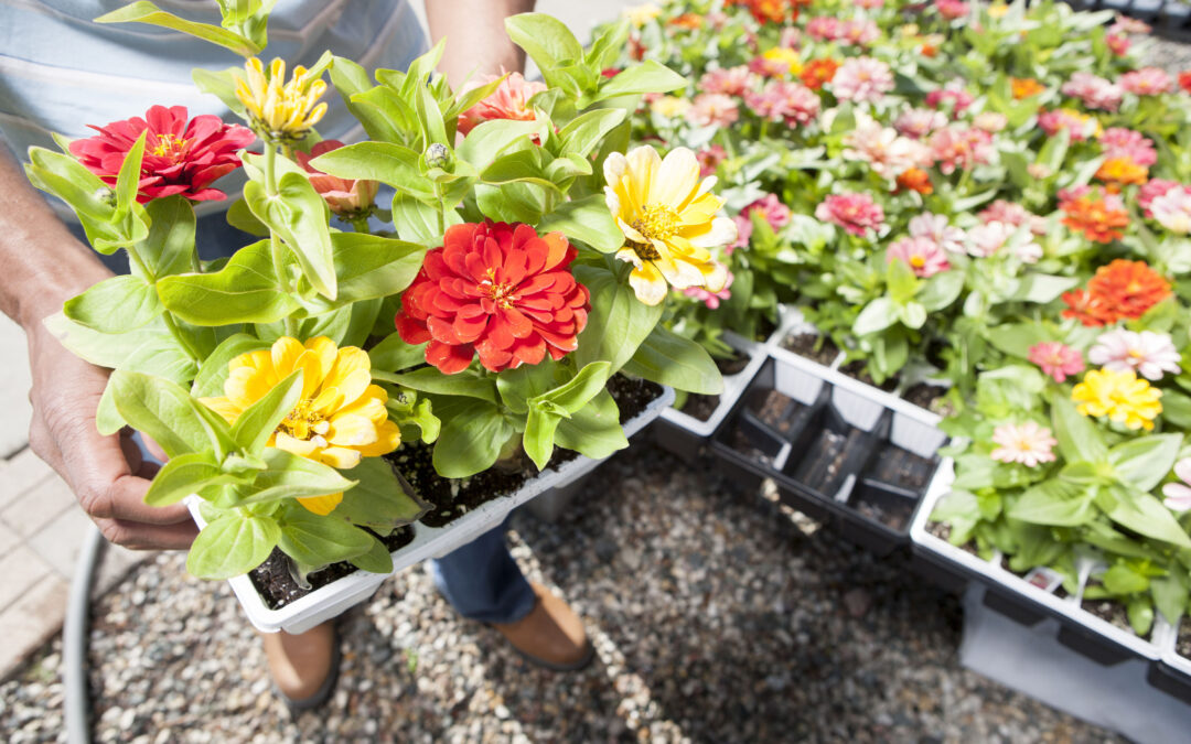 Firepit cooking in outdoor kitchen