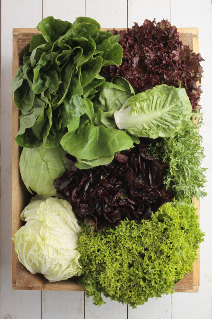 Tips and Tricks for Successful Organic Gardening