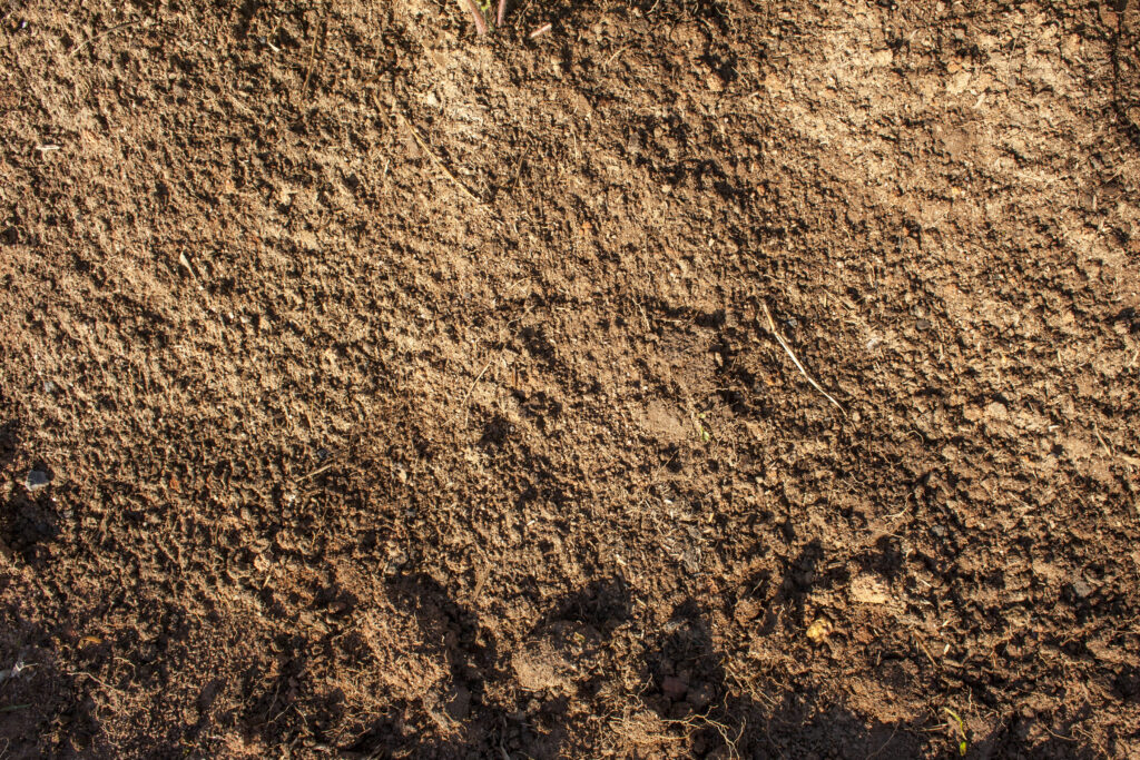 How to Start Your Own Home Farm: Tips and Tricks