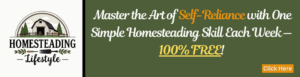 The Ultimate Guide To Off Grid Homesteading In 2025: 10 Effective ...