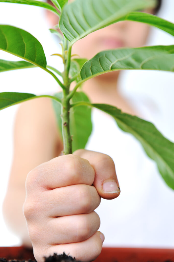 Grow Green: The Ultimate Beginner’s Guide to Organic Gardening
