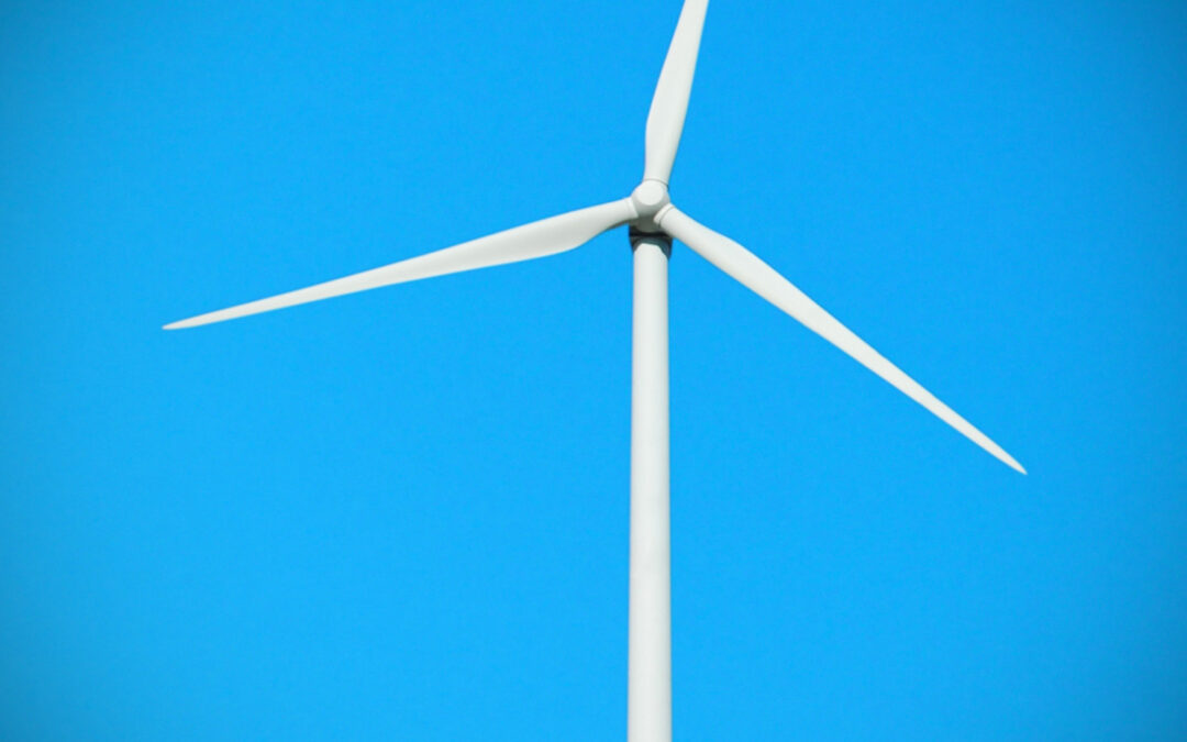 Grow Green: Simple Organic Gardening Tips for Busy Beginners