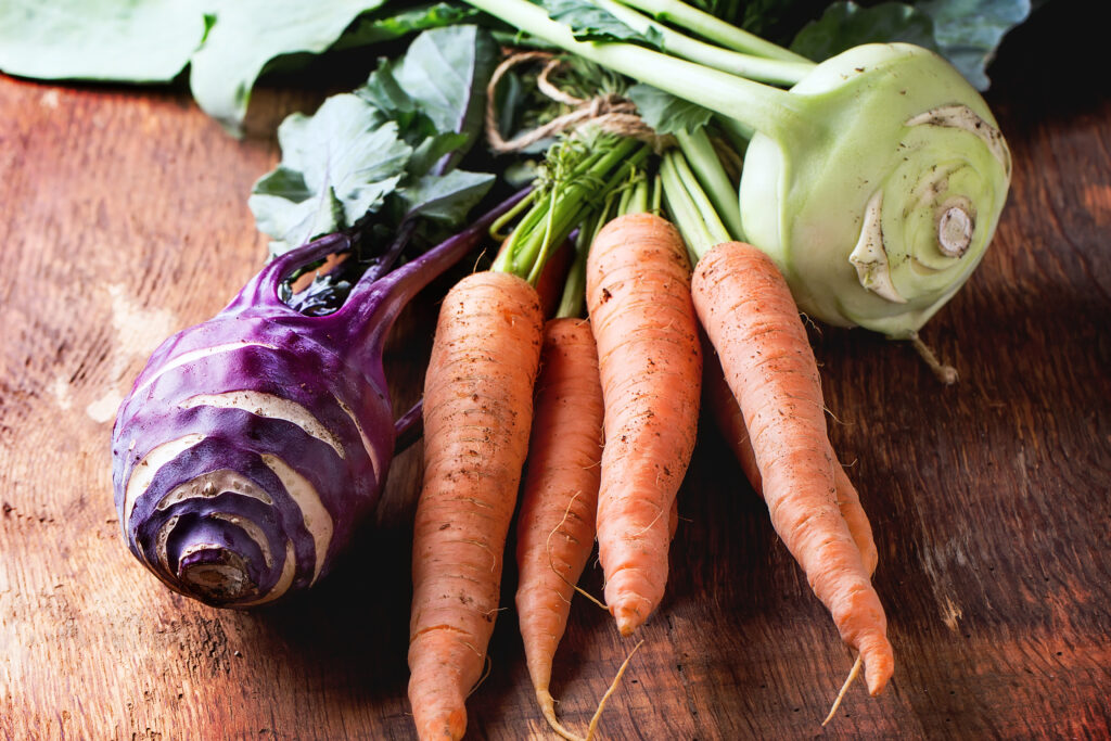 Secret Ingredients: Building Rich, Living Soil for Organic Gardens