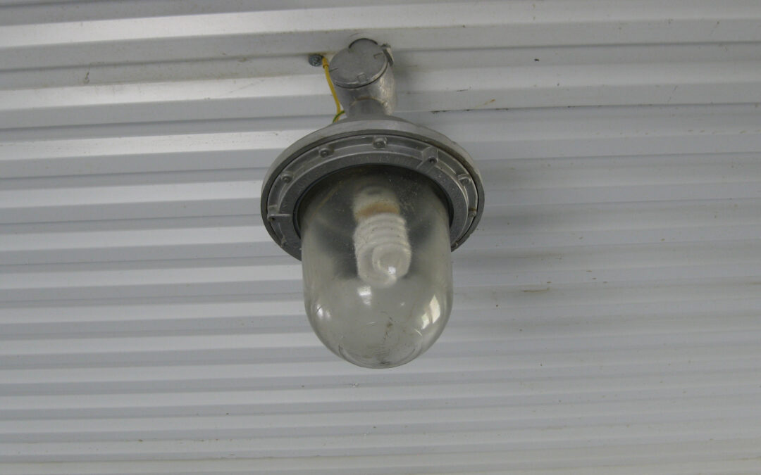 From Dependence to Independence: Your 30-Day Self-Reliance Plan