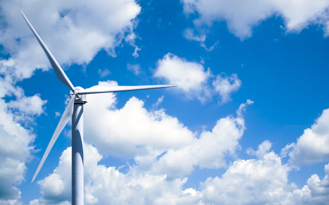 Small Space, Big Harvest: Organic Gardening for Urban Dwellers