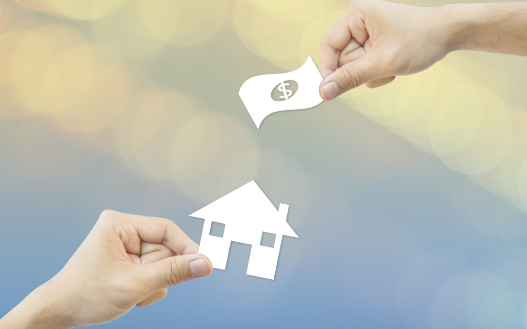 DIY Life: Habits That Forge True Independence