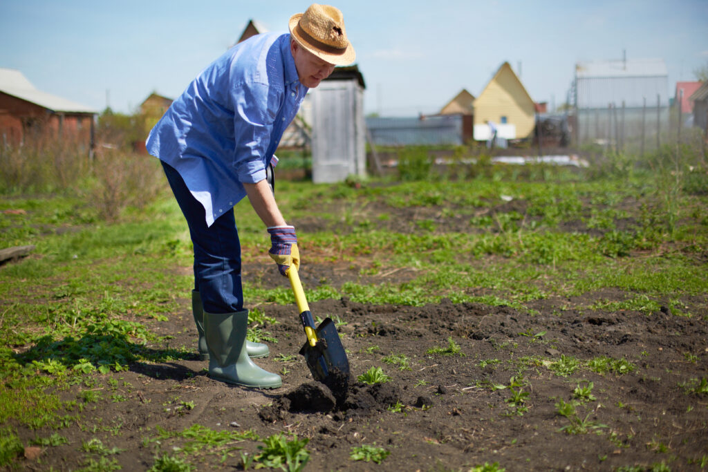 Year-Round Harvest: Seasonal Strategies for Sustainable Organic Gardening