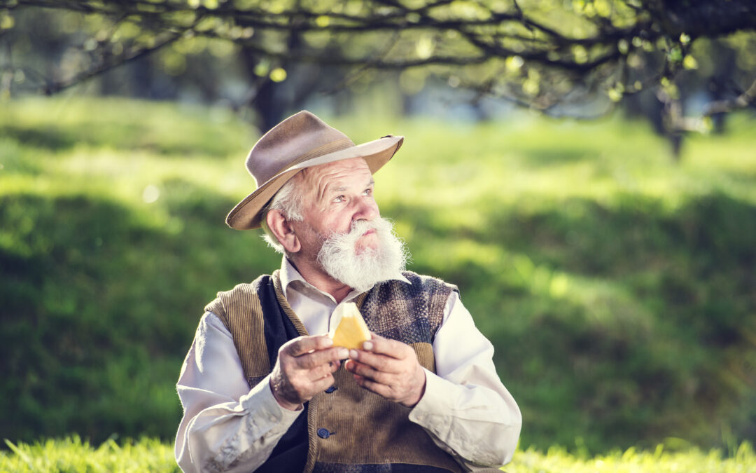 The Organic Garden Blueprint: Natural Techniques for Healthy, Pest-Resistant Plants