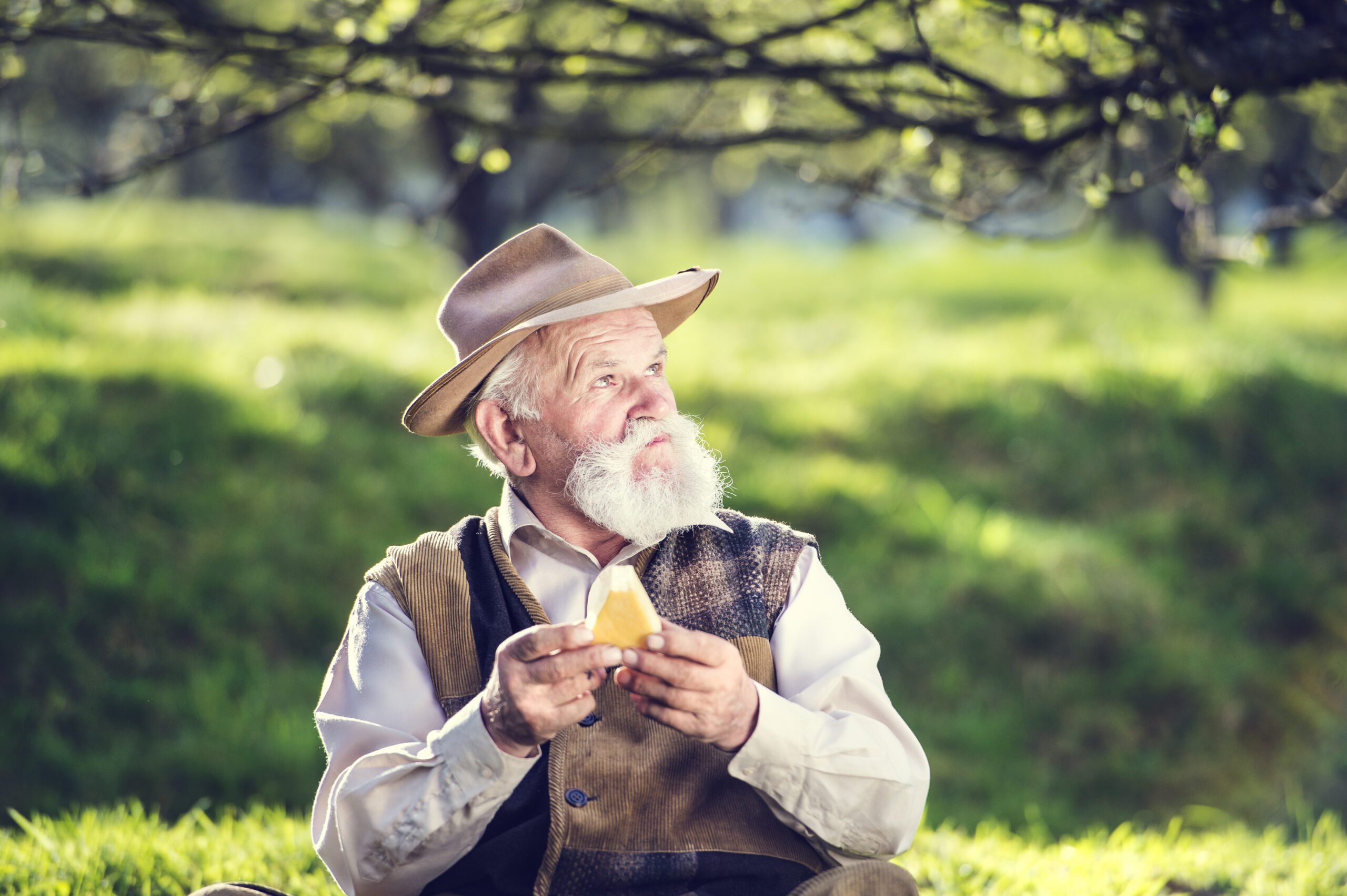 graphicstock senior farmer with organic cheese outside in green nature HAl052c6 scaled