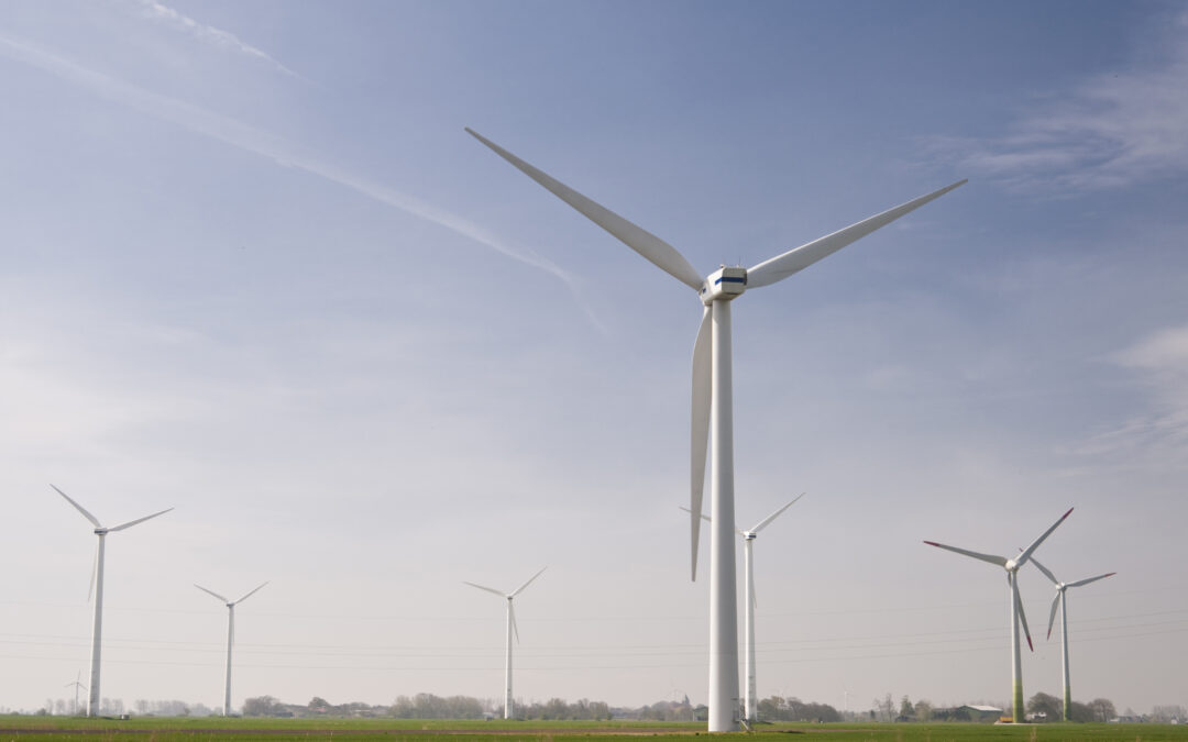 From Soil to Supper: Secrets of Successful Organic Gardening