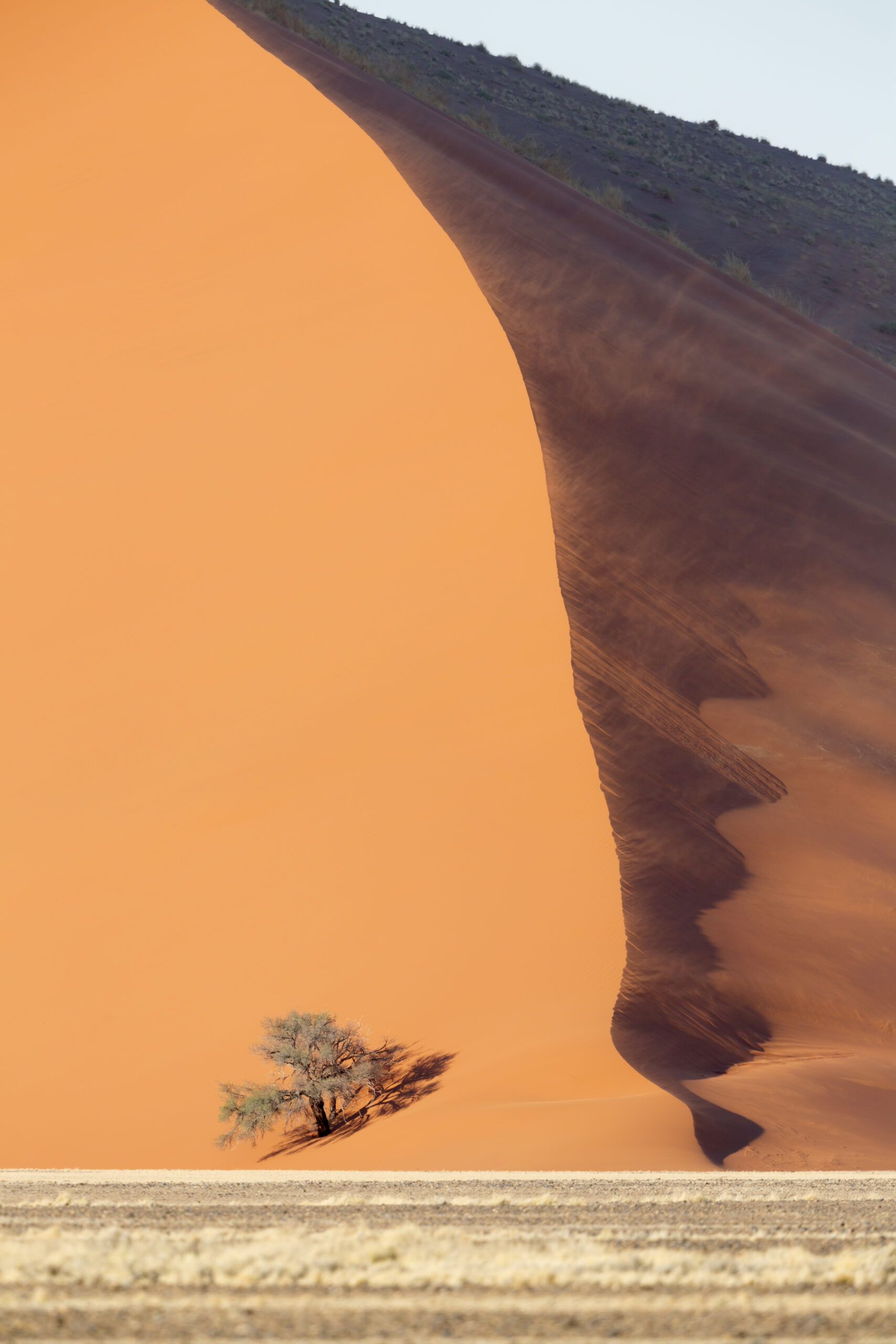 db 316 namibia 021 3591 scaled