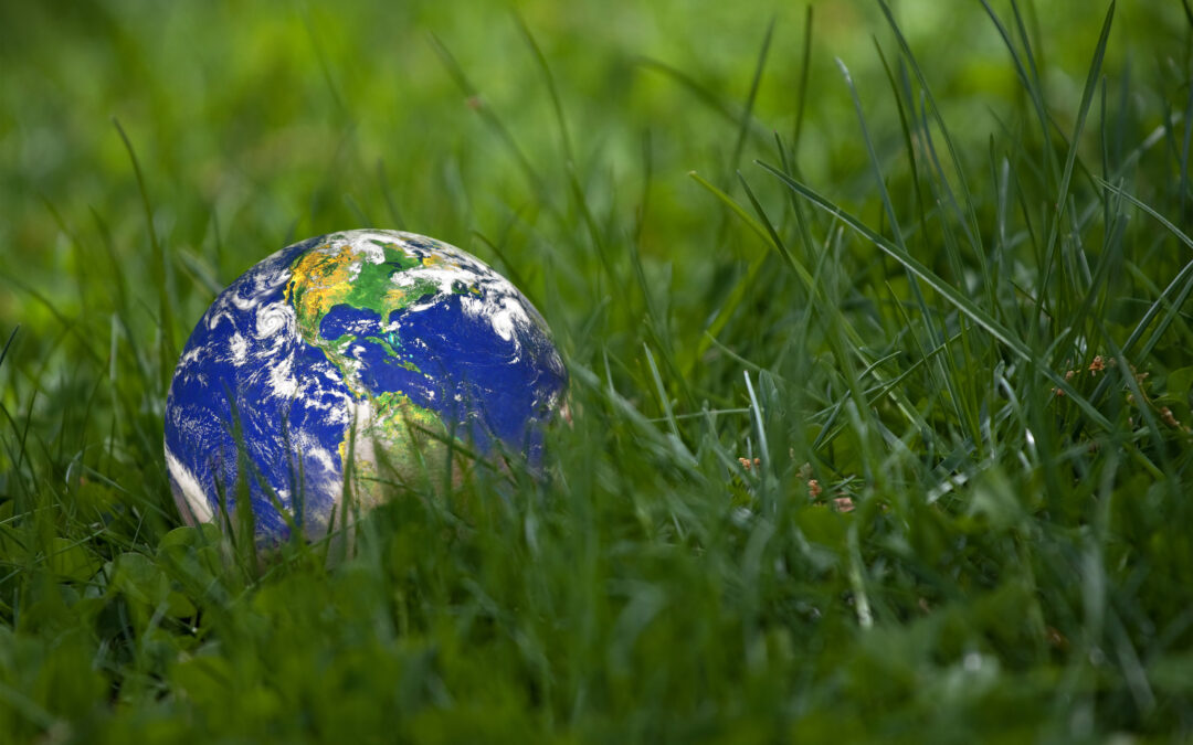 Grow Green: Simple Organic Gardening Secrets for Beginners