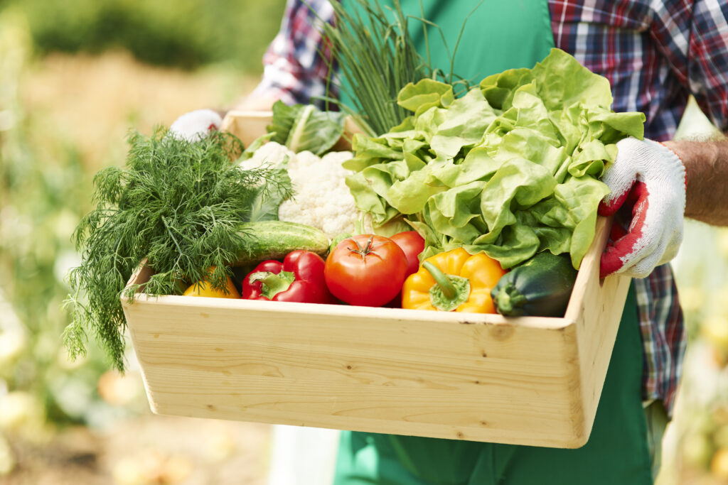 storyblocks close up of box with vegetables in hands of mature man rZxBe 0DqM