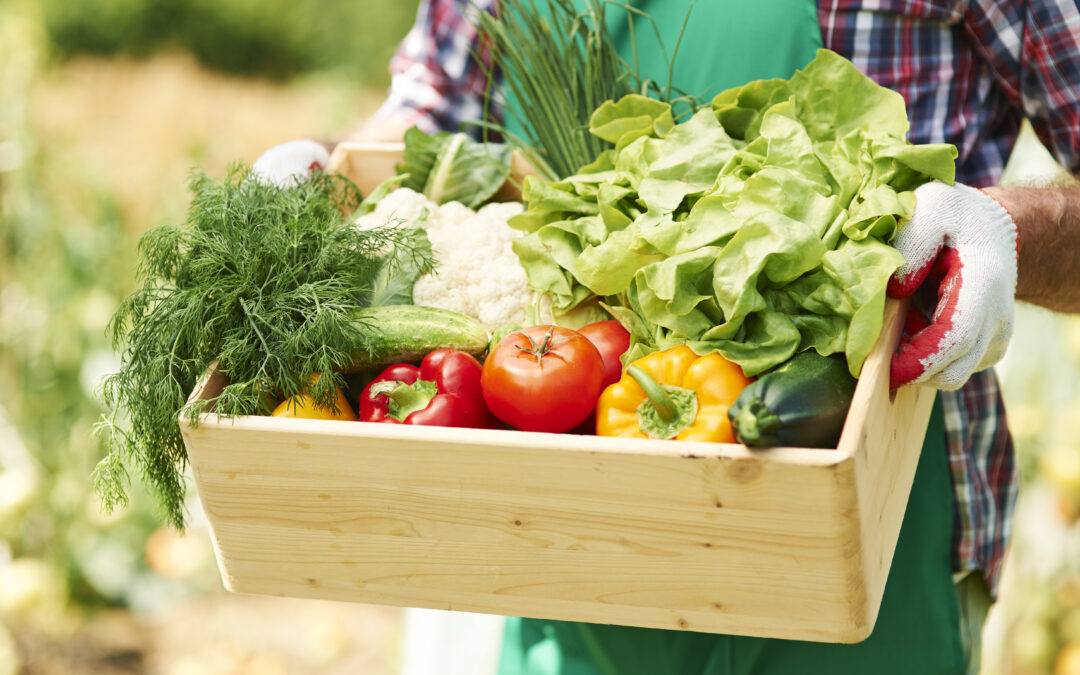 Pesticide-Free Paradise: Transform Your Yard with Organic Gardening