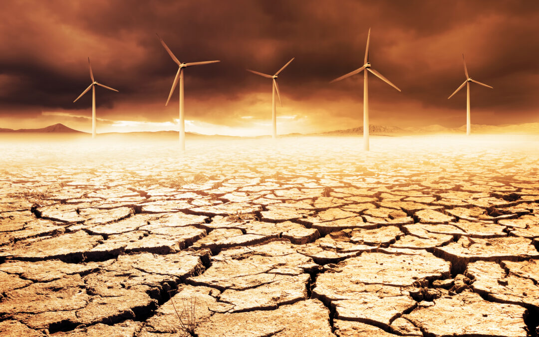 Grow Green: The Essential Guide to Organic Gardening